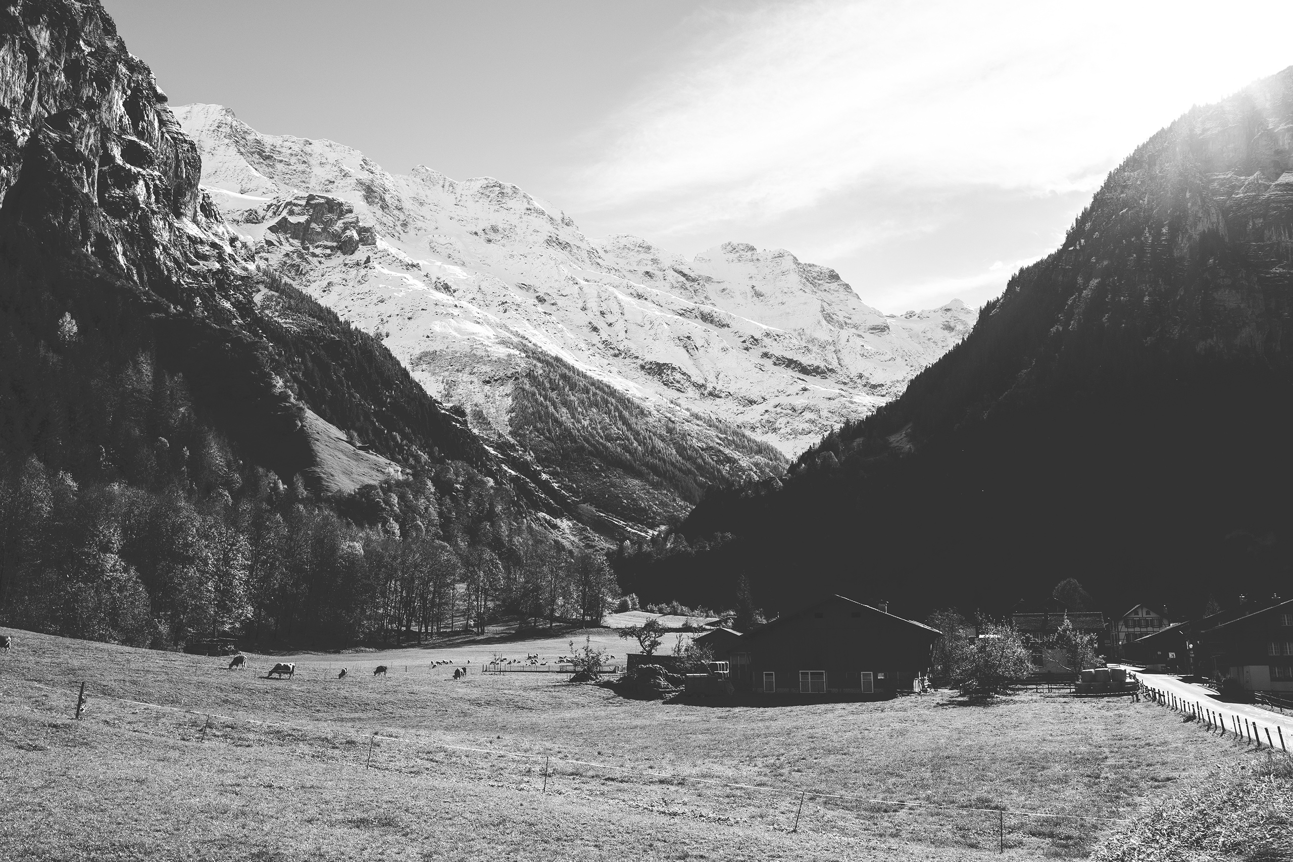 Road Bikes Imboden Bike Lauterbrunnen